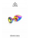 Plug bijou aluminium Rainbow XS - Hidden Eden