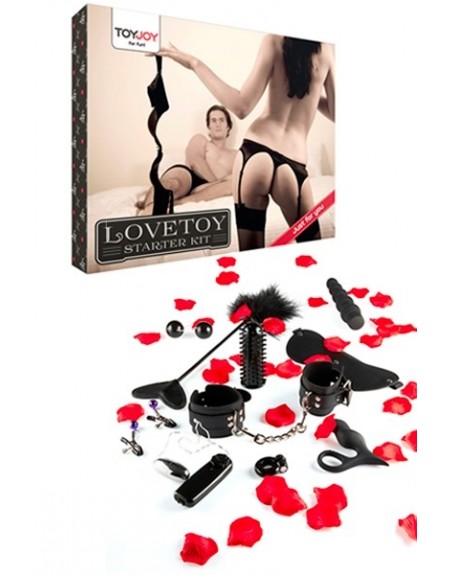 Lovetoy starter kit