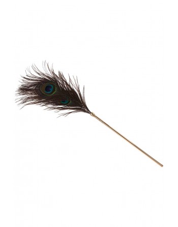 Plumeau à caresses Peacock Tickler - Taboom